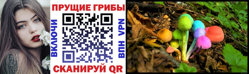 Псилоцибиновые грибы MAGIC MUSHROOMS  Бабушкин 